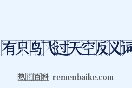 有只鸟飞过天空反义词是什么意思的图片